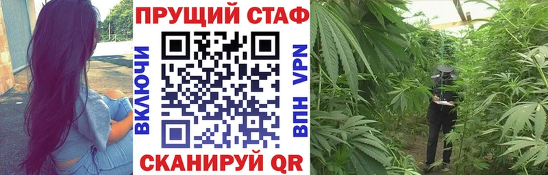 Наркотические вещества Кольчугино Бошки Шишки  Псилоцибиновые грибы  МДМА  COCAIN  А ПВП  МЕФ 