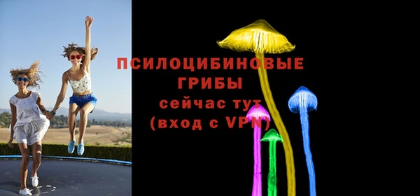 ПСИЛОЦИБИНОВЫЕ ГРИБЫ Алексеевка