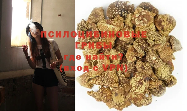 ПСИЛОЦИБИНОВЫЕ ГРИБЫ Алексеевка