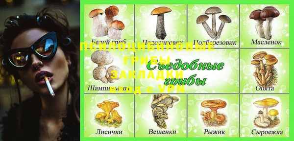 ПСИЛОЦИБИНОВЫЕ ГРИБЫ Алексеевка