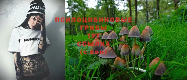 дживик Алзамай
