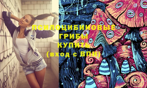 кокс Алексин