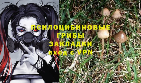 дживик Алзамай