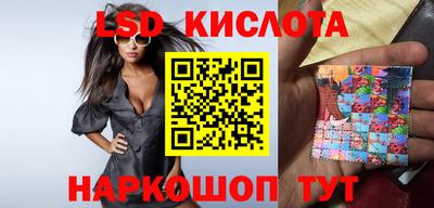 крисы Кулебаки