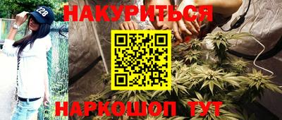 крисы Кулебаки