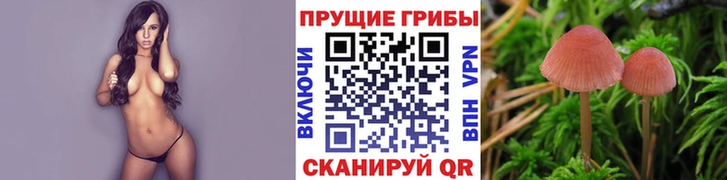 Галлюциногенные грибы Psilocybine cubensis  продажа наркотиков  Кольчугино 