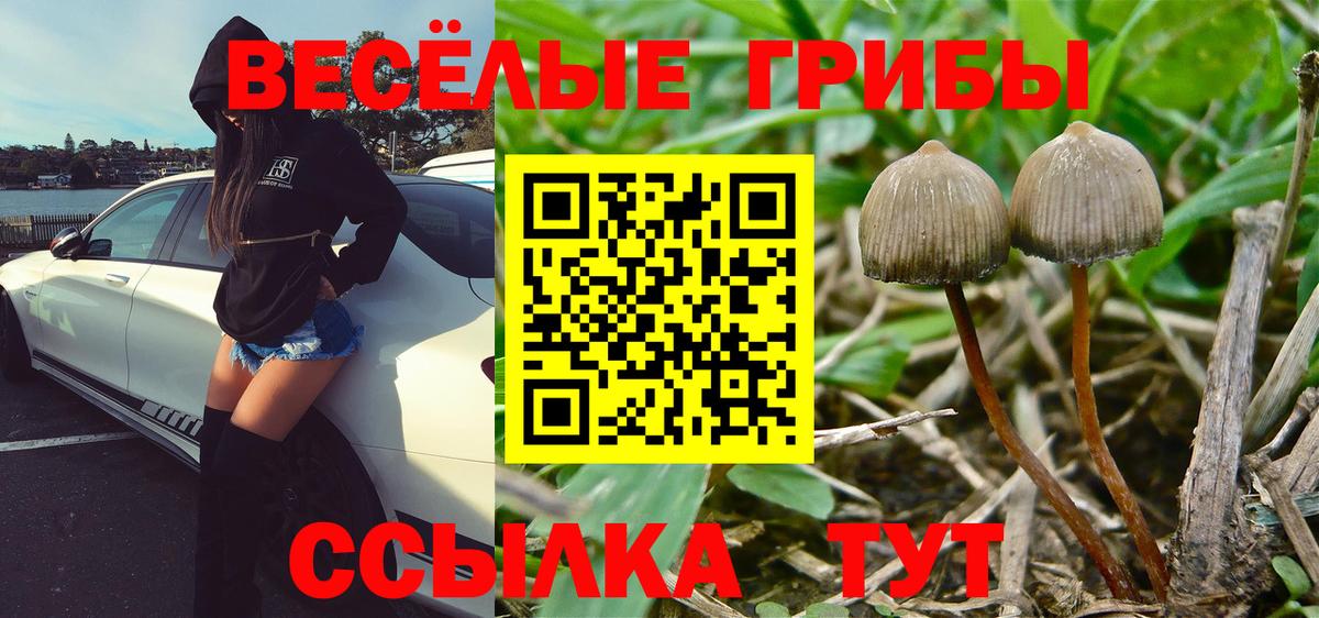 Кольчугино  Галлюциногенные грибы GOLDEN TEACHER  Вход с VPN 